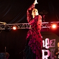 flamenco (86)